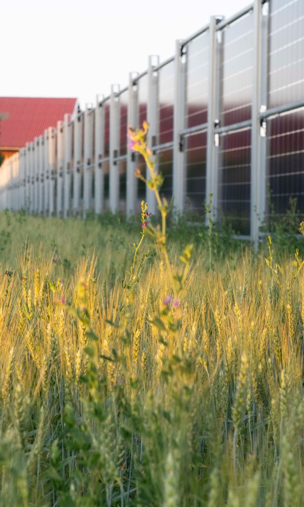 Hochwertiger Solarzaun in einem Garten vor einem Haus