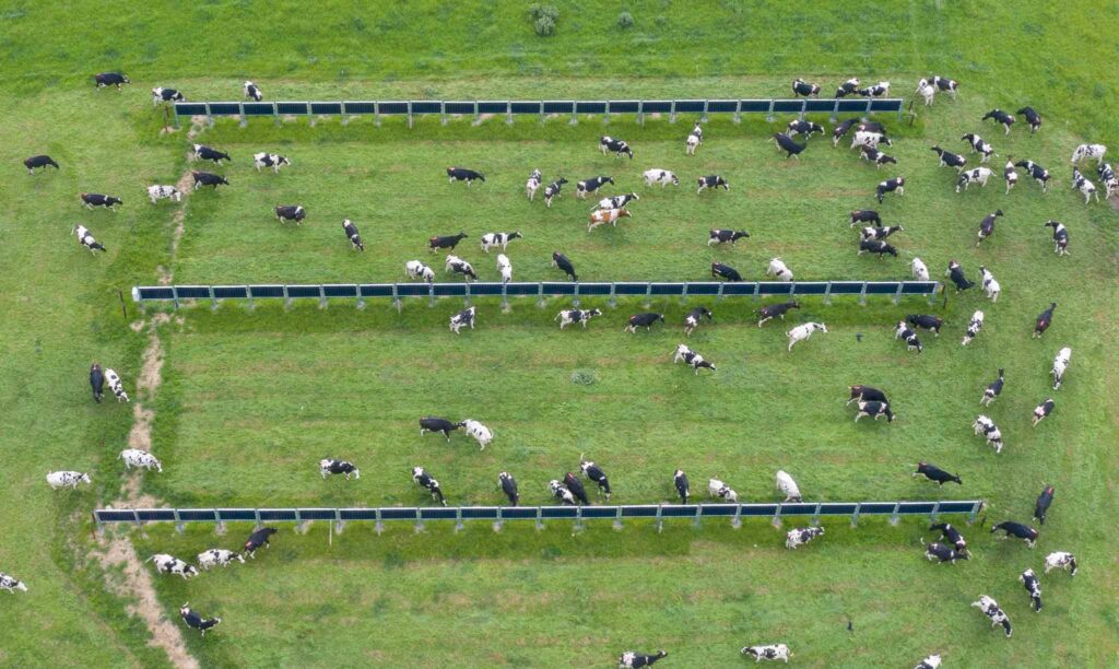 Solarfarm in Farrels Ireland