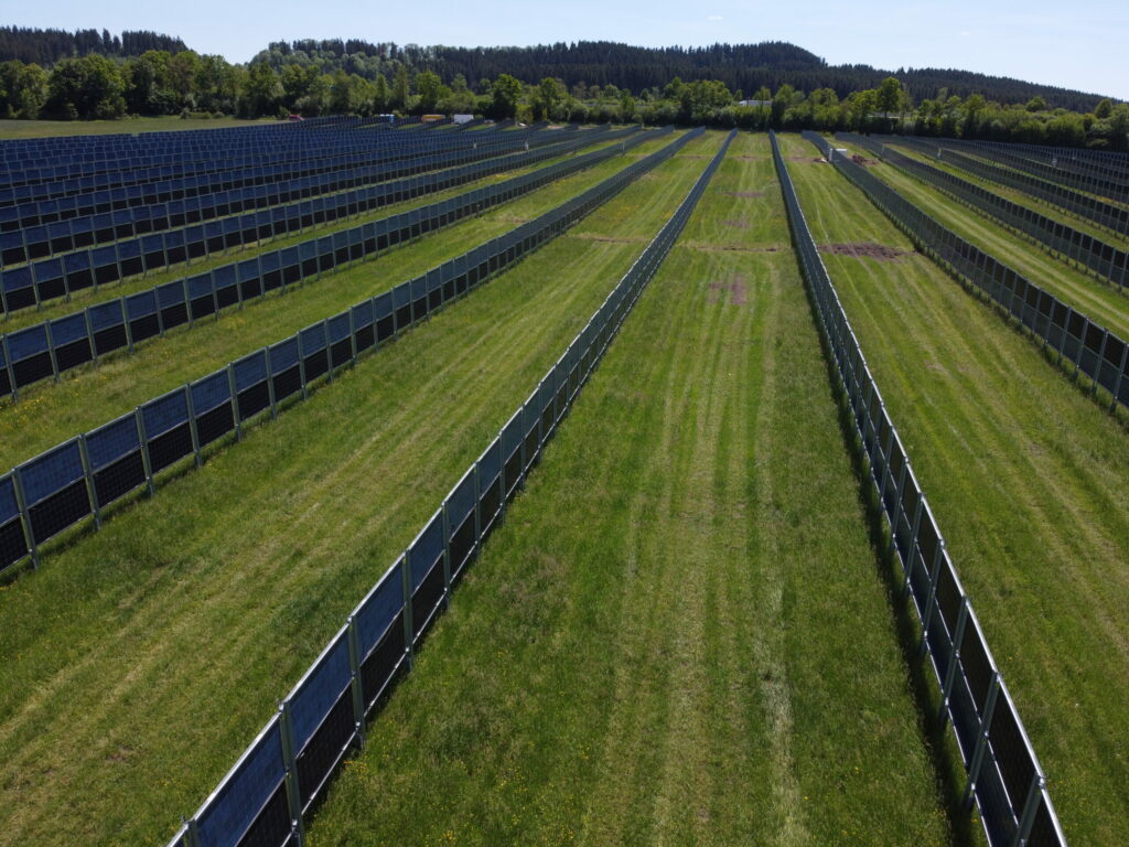 Feld mit Agri-PV von next2Sun