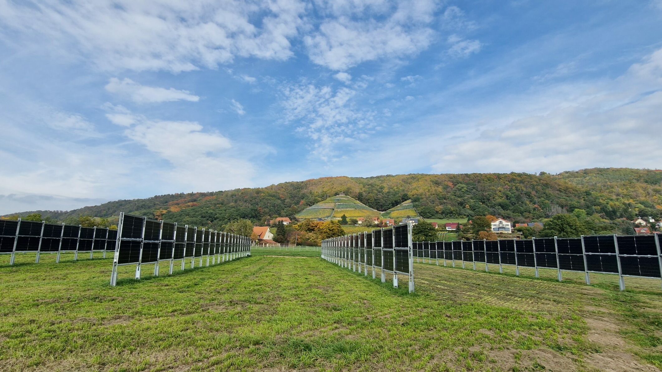 Reihen von Agri-PV-Modulen