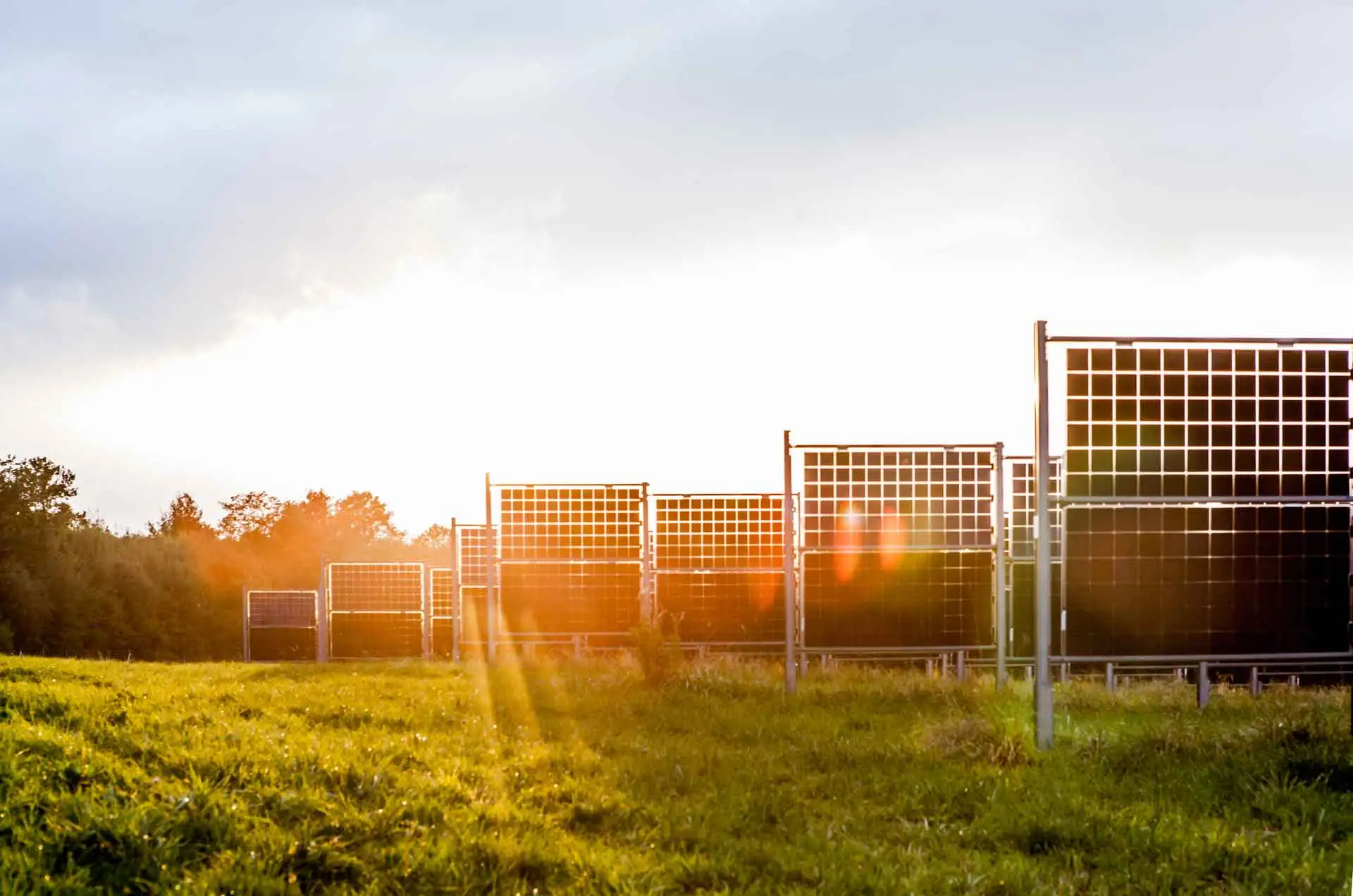 Vorteile der Agri-PV für Energieversorger & Projektierer