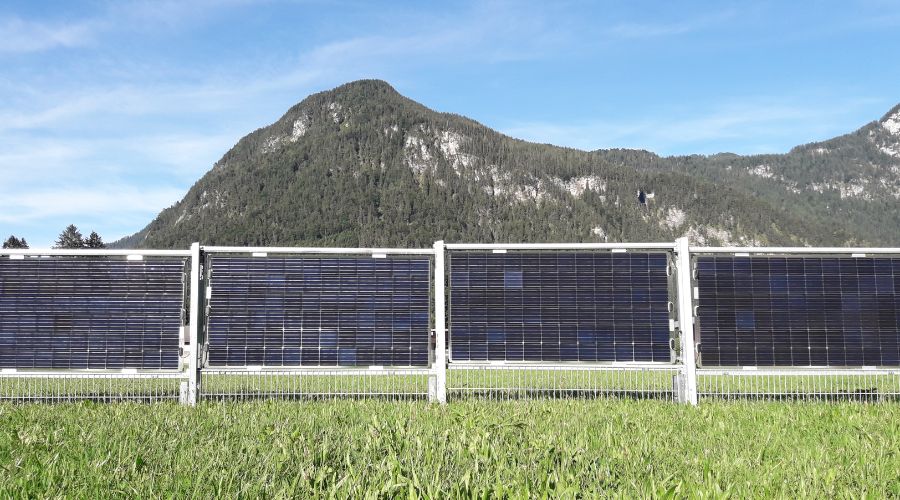 Next2Sun Solarzaun für Landwirtschaft