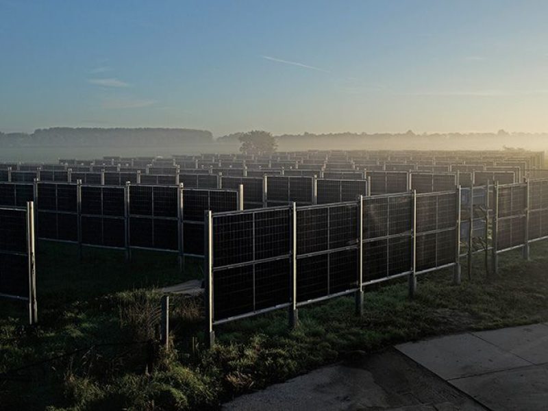 Agrar bifaciale Photovoltaik