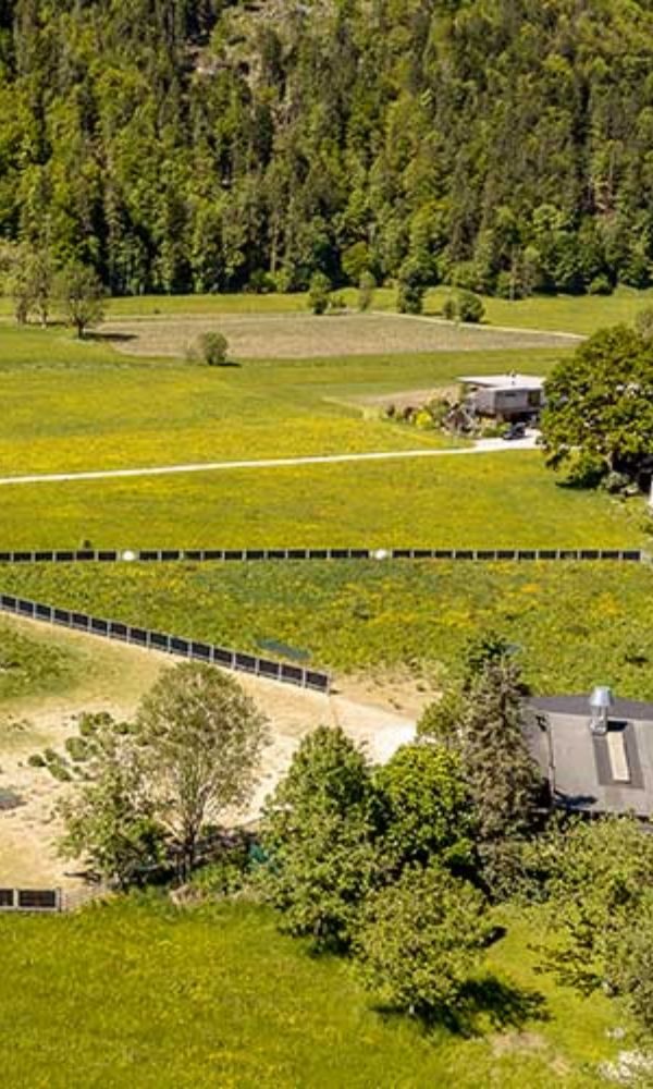 Next2Sun vertikale photovoltaik