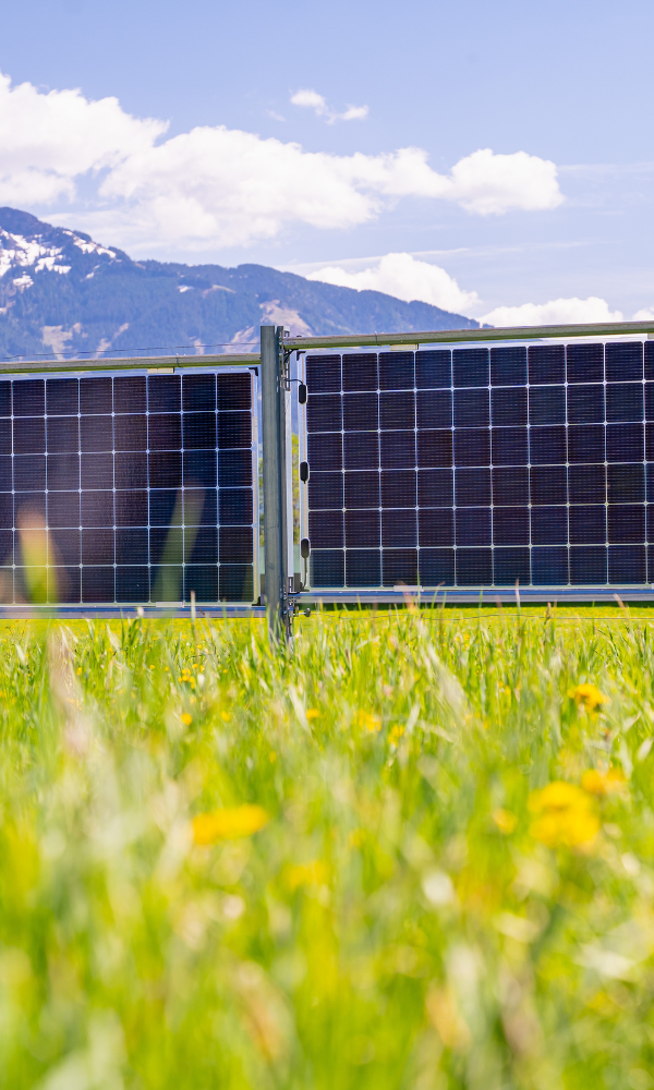 Solarzaun von Next2Sun